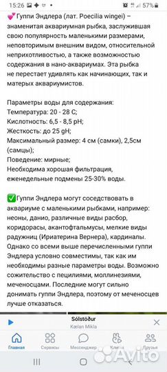 Рыбки-растения