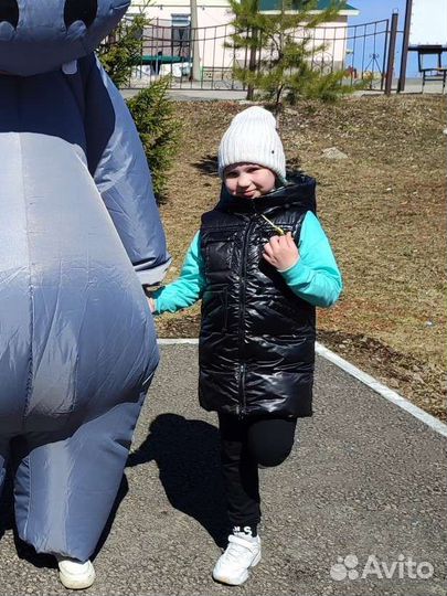 Жилет