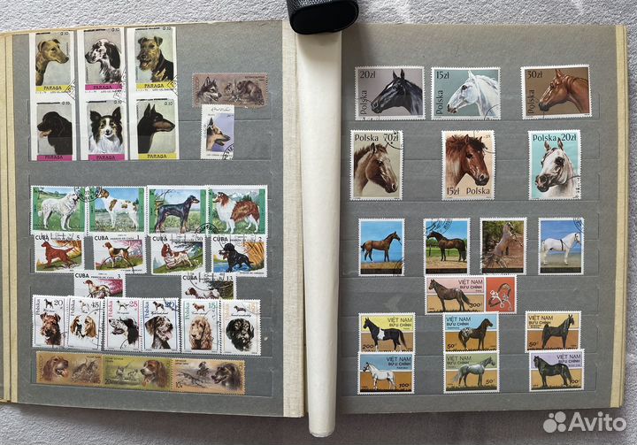 Альбом почтовых марок