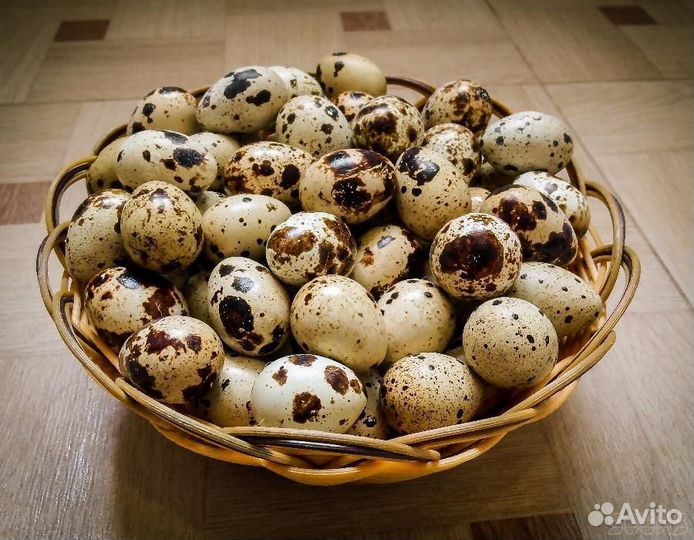 Домашние перепелиные яйца