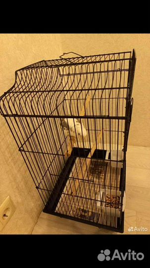 Клетка для попугая на брони