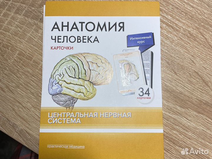 Карточки анатомия цнс