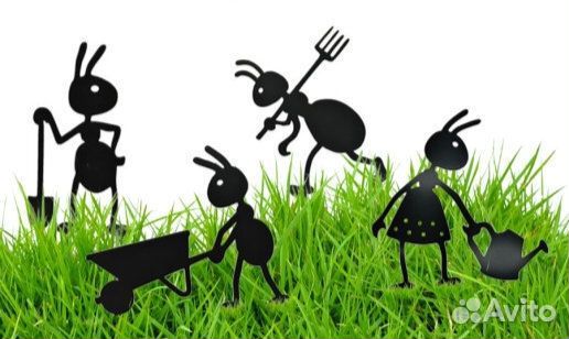 Авито доставка мураши