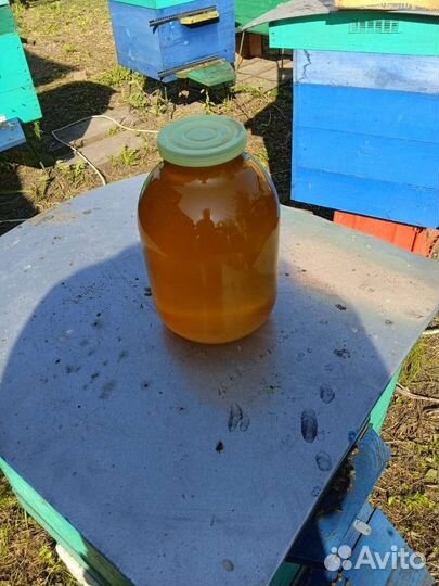 Мед разнотравье