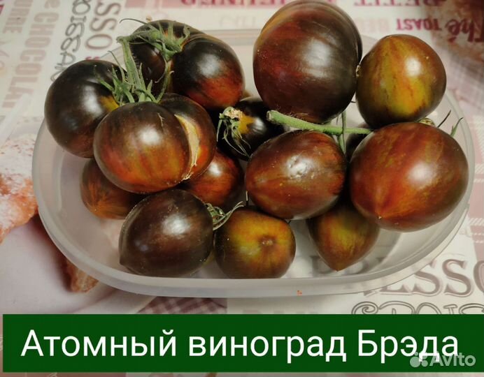 Семена томатов сортовых, томаты серии Гном и т.п