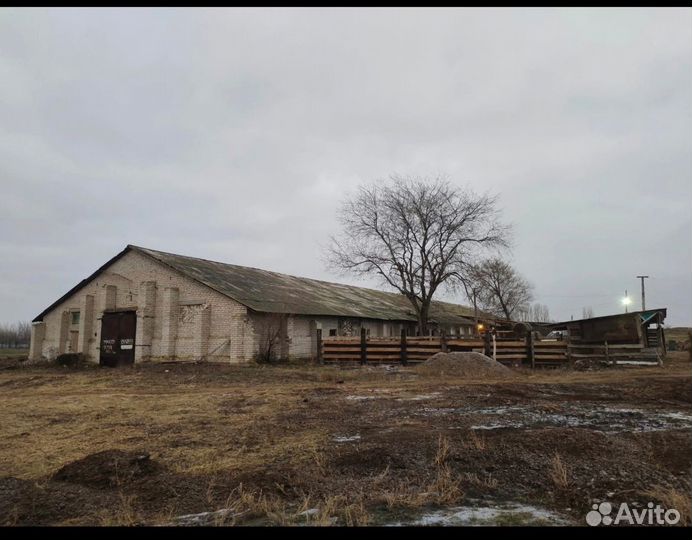 Готовый бизнес Сельское Хозяйство