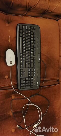 Клавиатура Genius и мышка Logitech в комплекте