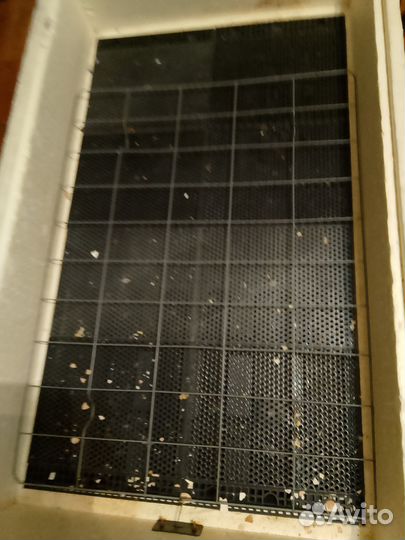 Инкубатор золушка 98