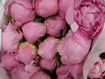 Розовые Пионы букет