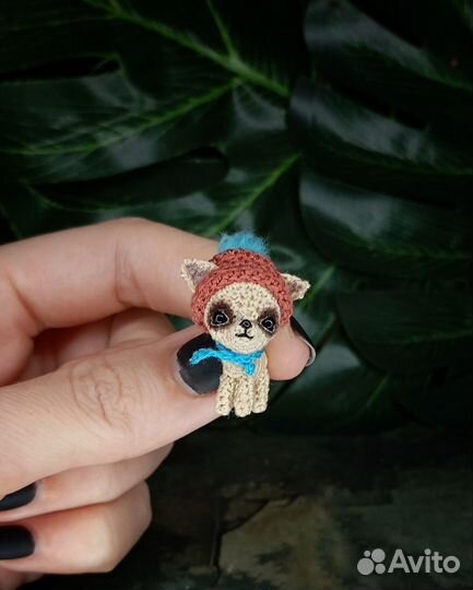 Микро щеночек. Забронирован