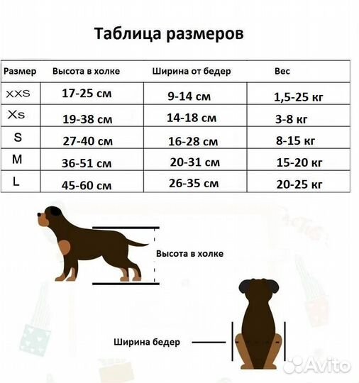 Инвалидная коляска для собак и кошек