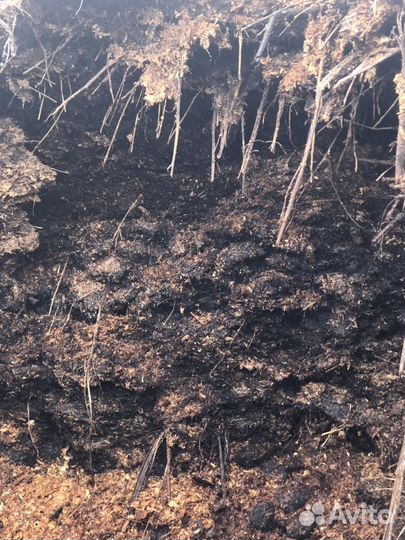 Конский навоз