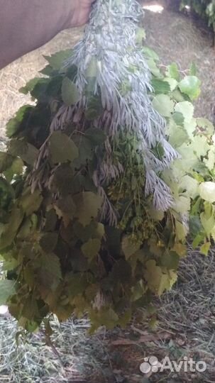 Банные веники Канадский,Чашуйчатый Дуб,Берёз