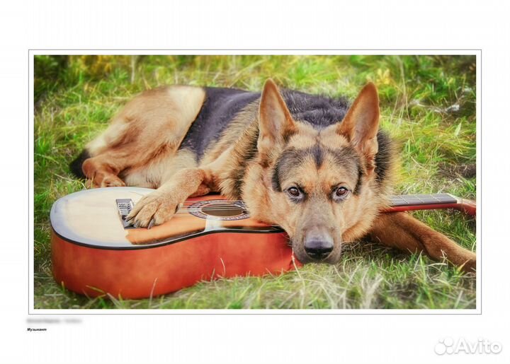 Авторские фотографии для интерьера