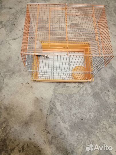 Клетка для джунгарского хомяка