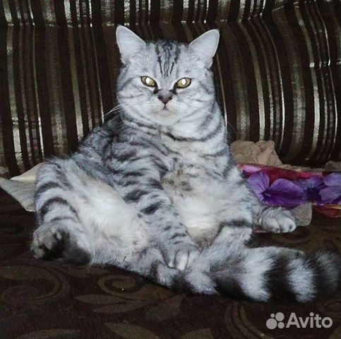 Вязка