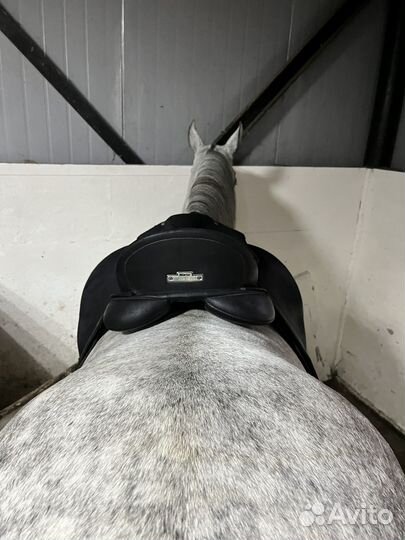 Седло Wintec Isabell New