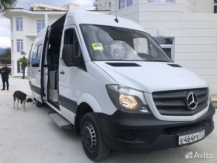 Аренда автобусов для свадеб и туристических групп