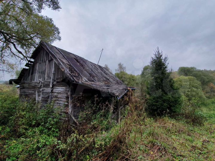 Участок 50 сот. (ИЖС)