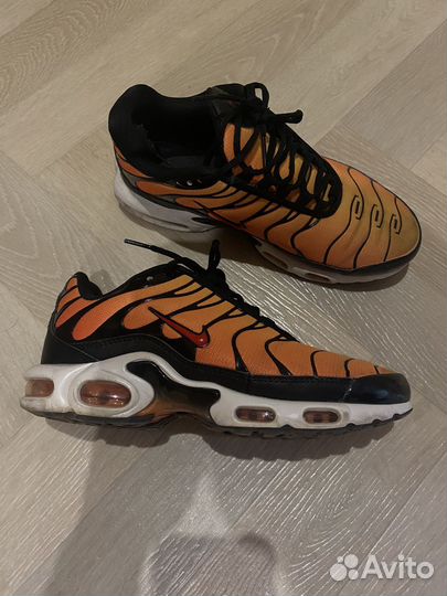 Кроссовки nike air max tn plus