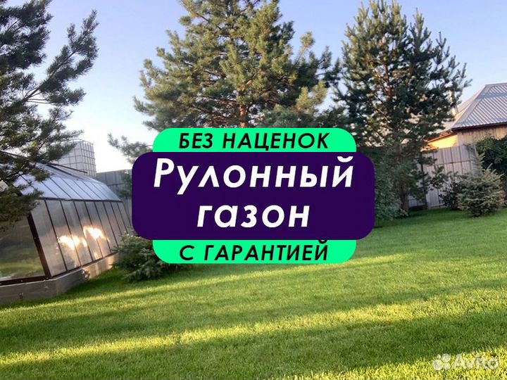 Спортивный газон. Футбольный газон