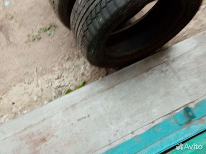 Gislaved Nord Frost 5 195/55 R15