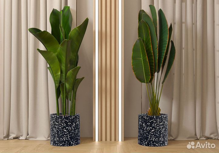 Бетонные вазоны на заказ и в наличии