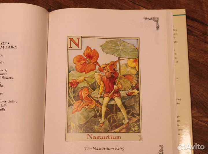 Книга Flower fairies цветочные феи