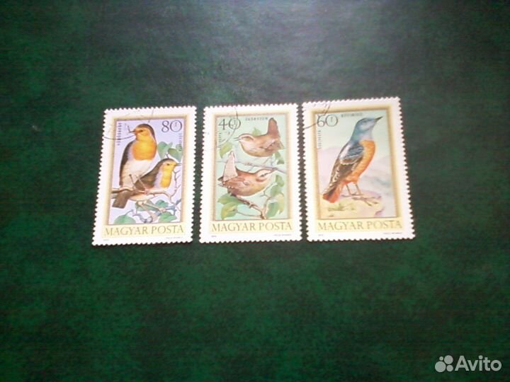 Птицы (Венгрия, 1973)