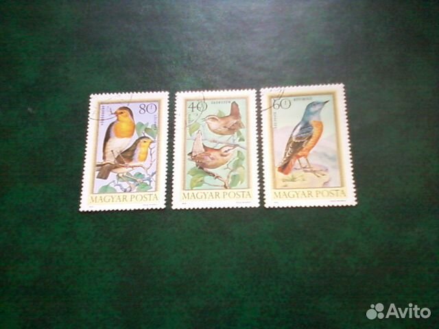 Птицы (Венгрия, 1973)