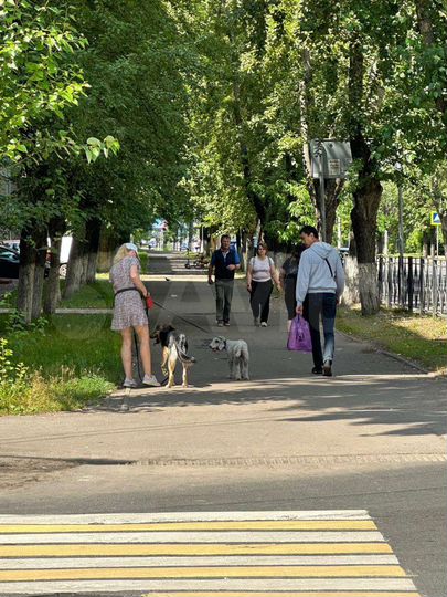 Свободного назначения, 16 м²