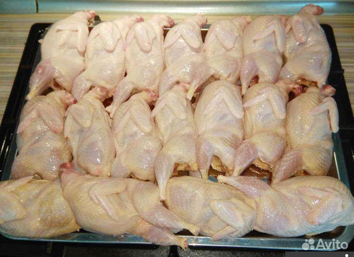 Мясо перепелов,яйцо перепелиное