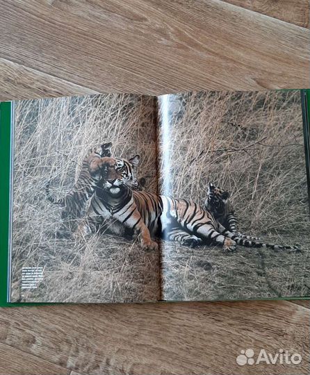 Альбом цветных фотграфий живоныз,птиц,насекомых