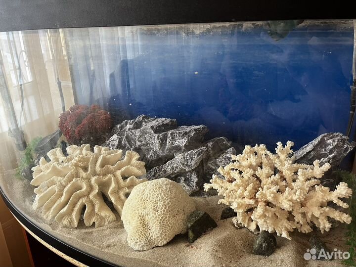Камни для аквариума