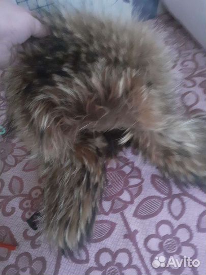 Мужская шапка