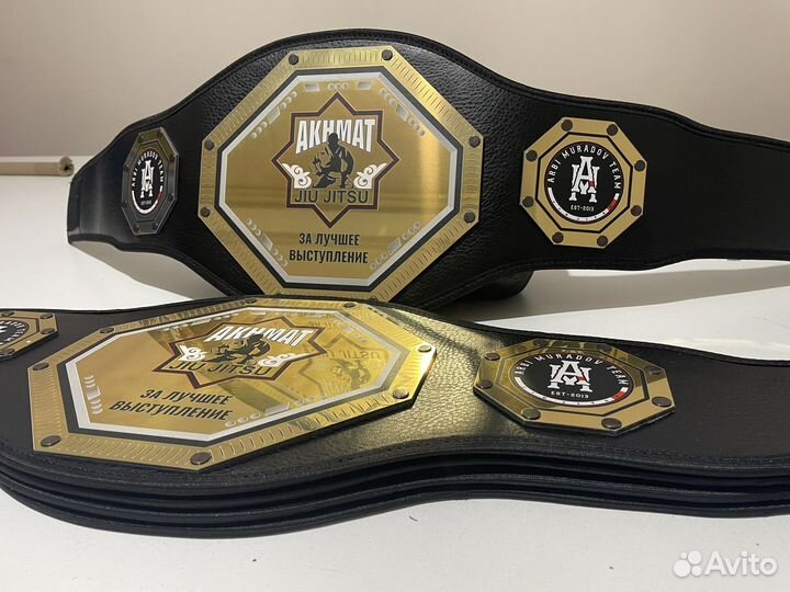 Пояс чемпиона