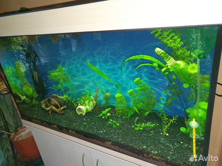 Аквариум 200 л (90 х 55 х 35)