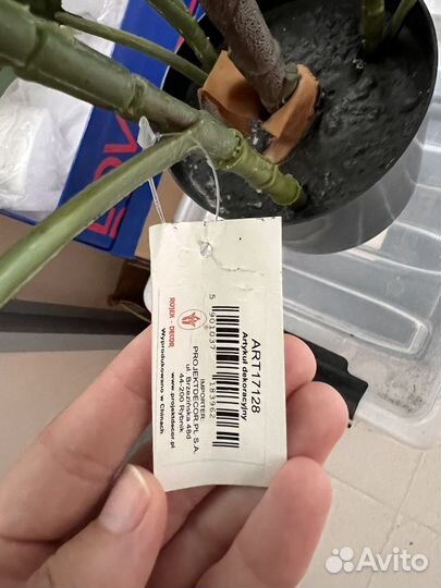 Искусственное растение