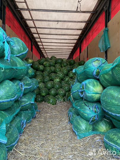 Арбузы свежие вкусные сочные отборные