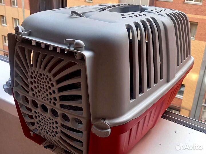 Переноска в аренду