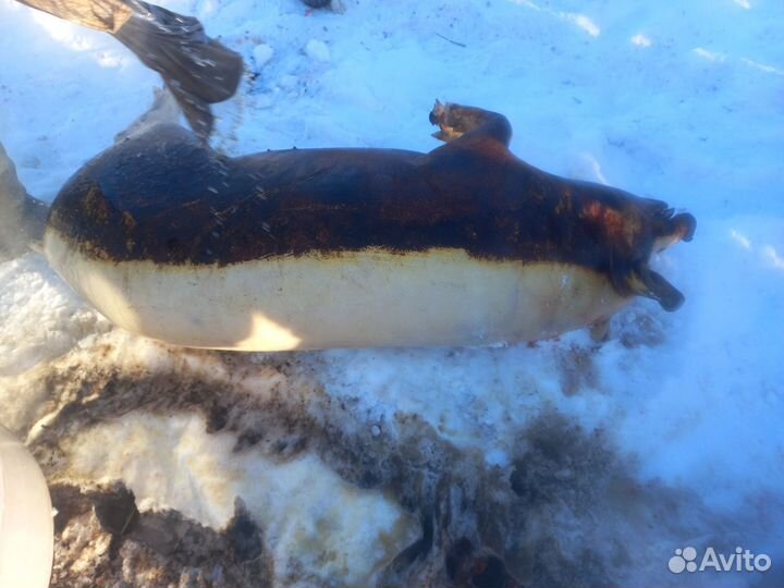 Сало,мясо ливер голова