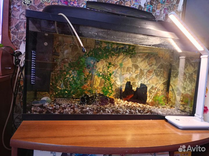 Аквариум