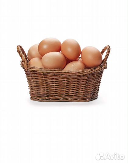 Домашние куриные яйца