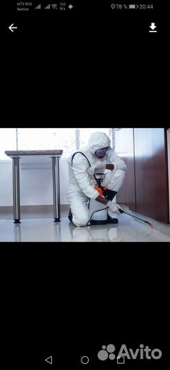 Уничтожение насекомых