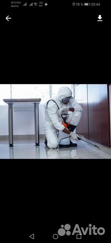 Уничтожение насекомых