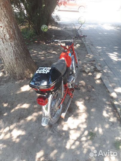 Мопед карпатый