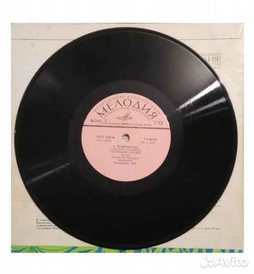 Виниловая пластинка