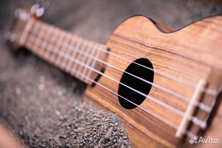Укулеле kala KA-PWC Pacific Walnut Concert Ukulele