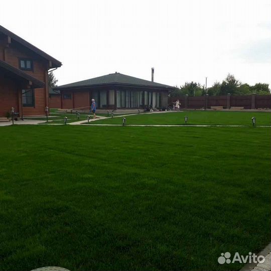 Укладка и продажа газона