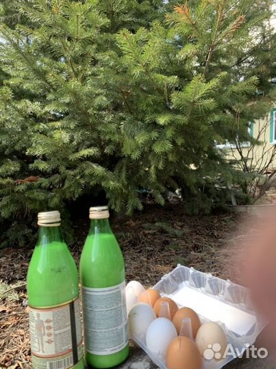 Домашние куриные яйца, козье молоко